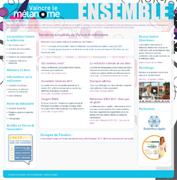 Internet website of the association Vaincre le mélanome